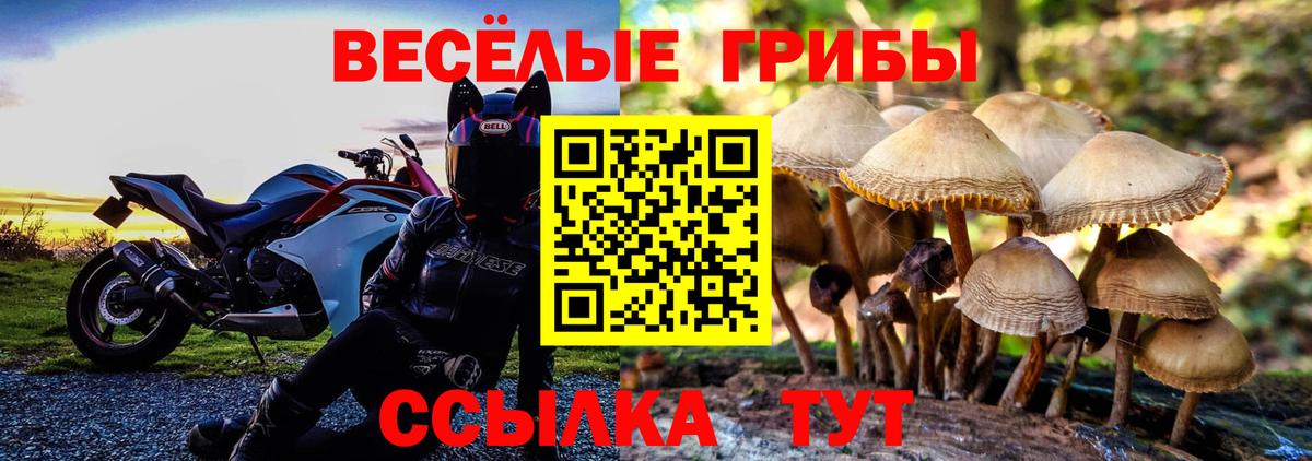 Галлюциногенные грибы Magic Shrooms Янаул