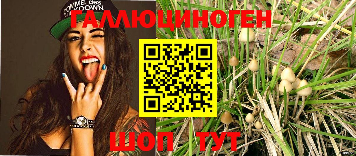 Янаул  Псилоцибиновые грибы мицелий  Вход с VPN  Галлюциногенные грибы MAGIC MUSHROOMS 